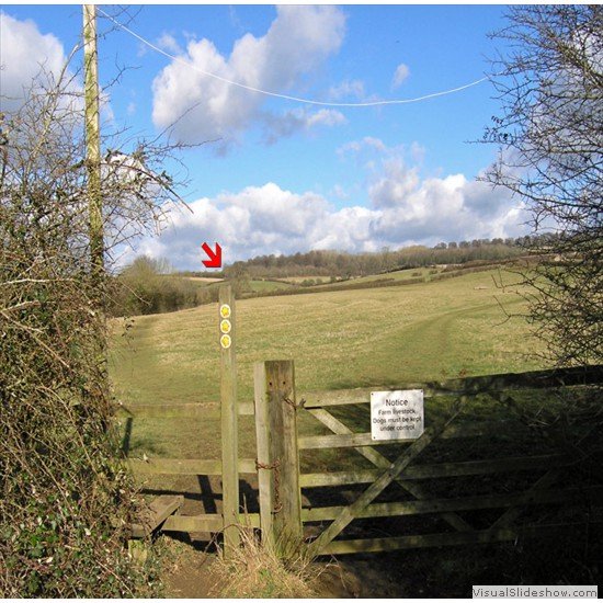 8a-To Chastleton via edge of wood on hill