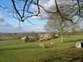 8b-Harcombe House in Chastleton