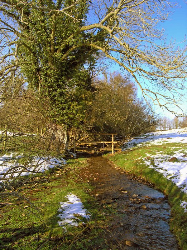 near Glyme Farm