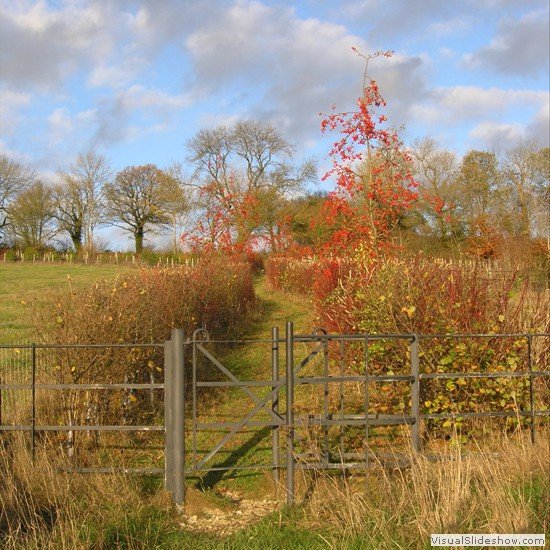 5-Path near Little Rollright