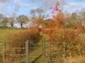 5-Path near Little Rollright