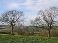 9b-Looking back on Salford